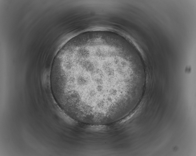 X0000096731417200803041213
