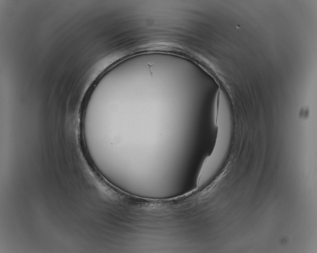 X0000096731418200803041213
