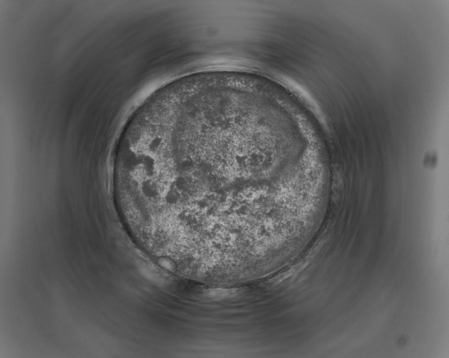 X0000096731419200803041213