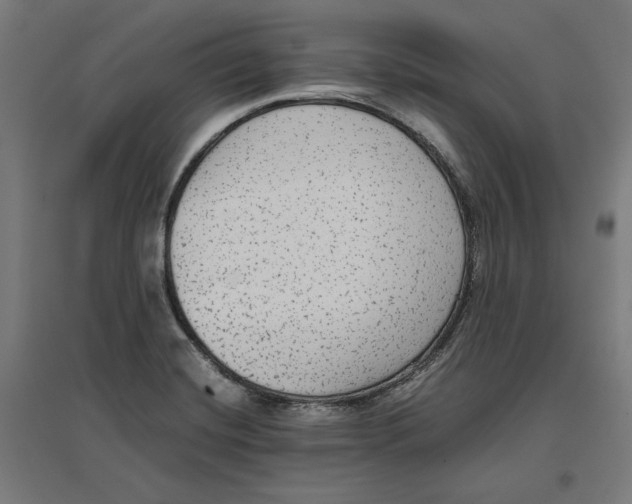 X0000096731420200803041213