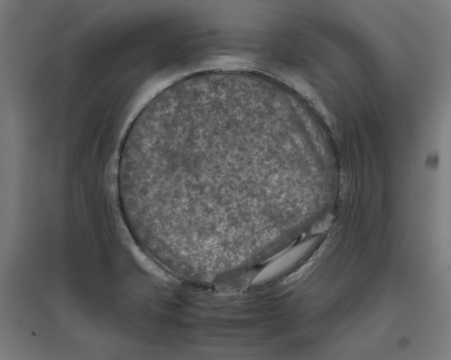 X0000096731421200803041213