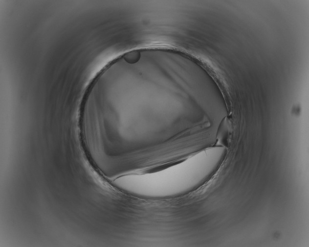X0000096731422200803041213