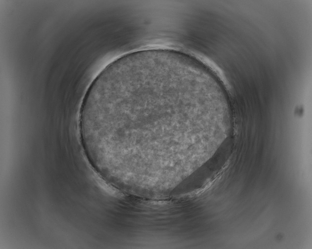 X0000096731423200803041213