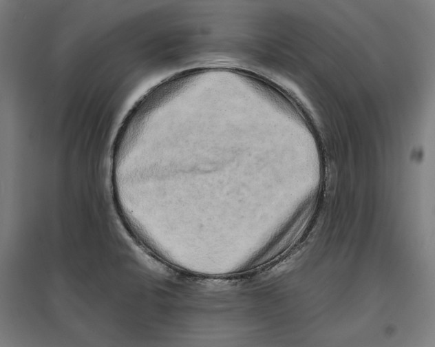 X0000096731424200803041213