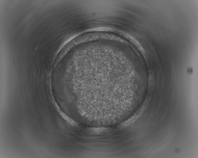 X0000096731425200803041213