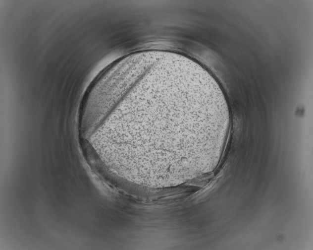 X0000096731426200803041213