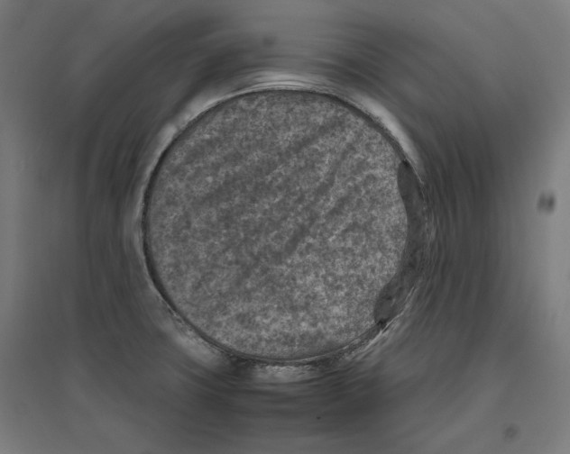X0000096731427200803041213
