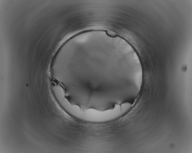 X0000096731428200803041213