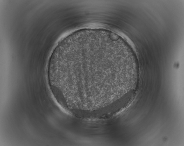 X0000096731429200803041213