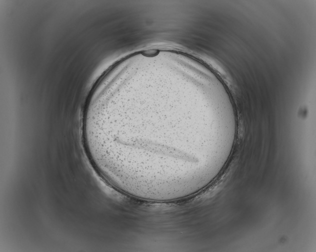 X0000096731430200803041213