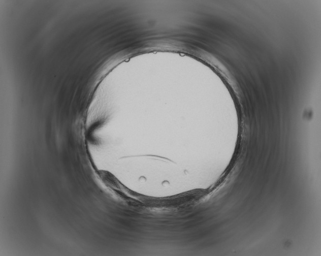 X0000096731433200803041213