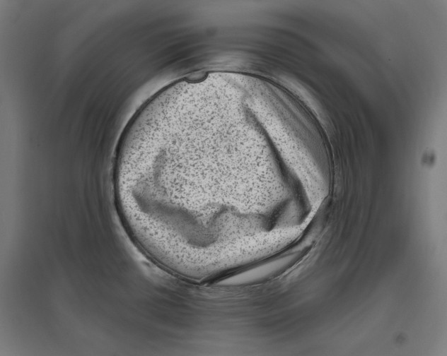 X0000096731434200803041213