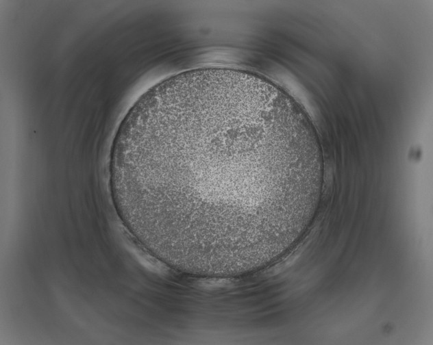 X0000096731435200803041213