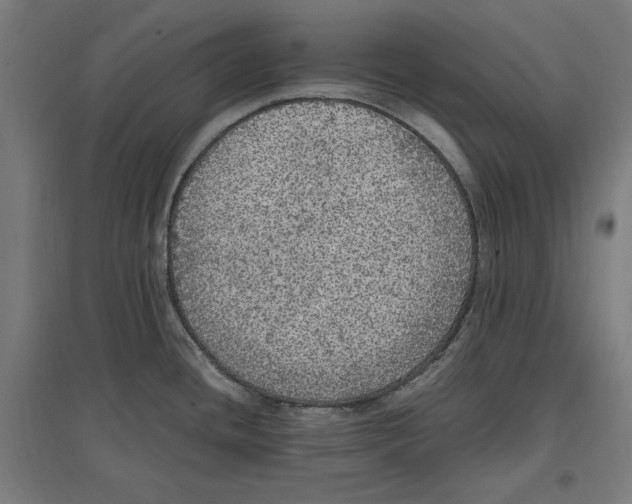 X0000096731436200803041213