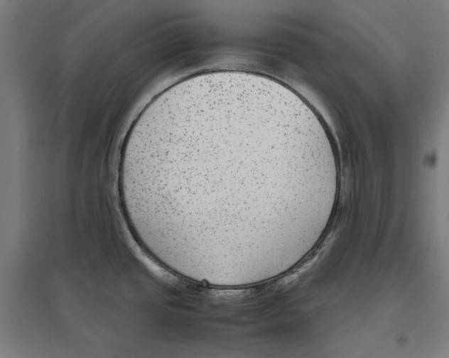 X0000096731437200803041213
