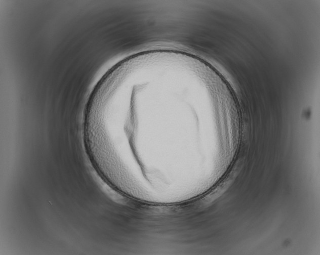 X0000096731438200803041213