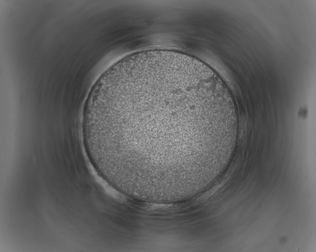 X0000096731439200803041213