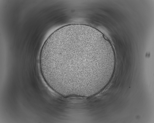 X0000096731440200803041213
