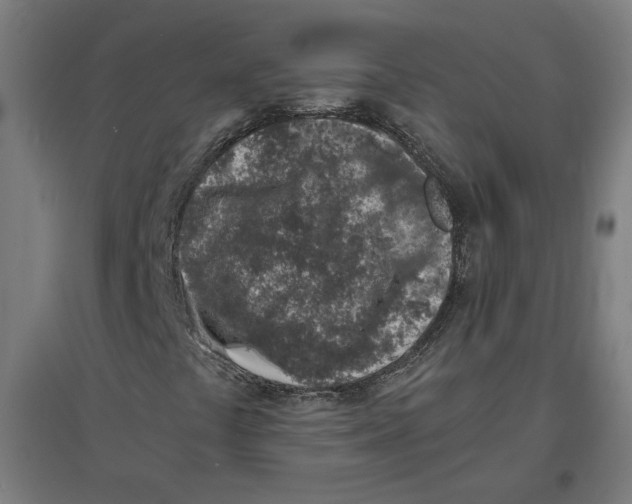 X0000096731441200803041213