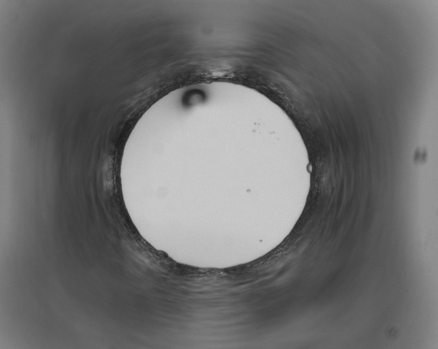 X0000096731442200803041213