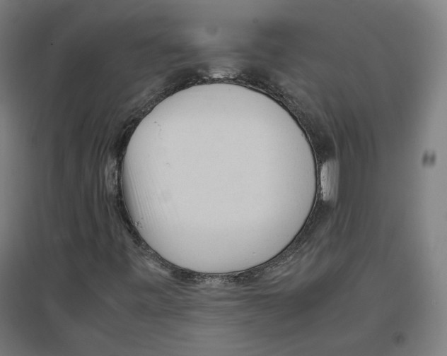 X0000096731443200803041213