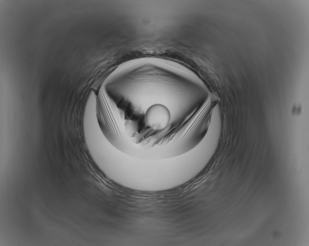X0000096731444200803041213