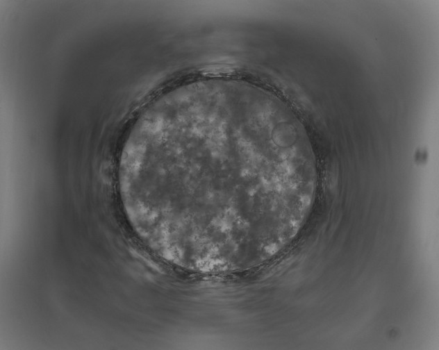 X0000096731445200803041213