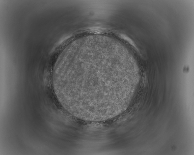 X0000096731446200803041213