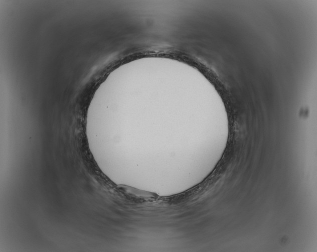 X0000096731447200803041213
