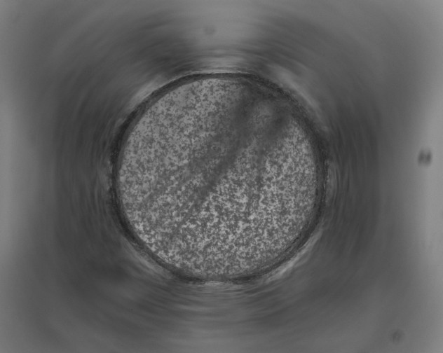 X0000096731449200803041213