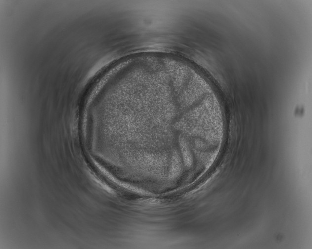 X0000096731450200803041213
