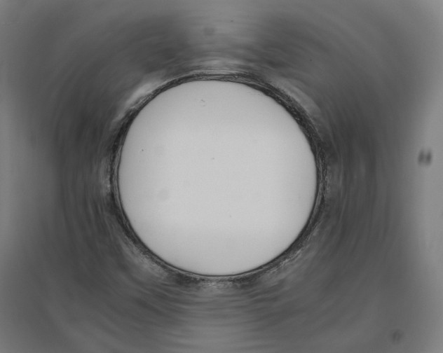 X0000096731451200803041213