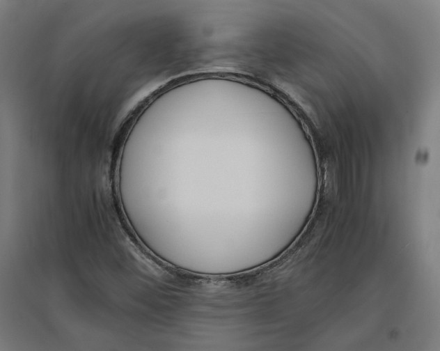 X0000096731452200803041212
