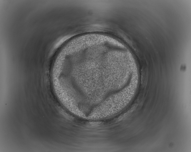 X0000096731453200803041212