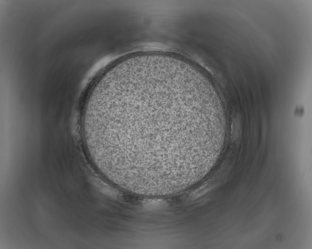 X0000096731454200803041212