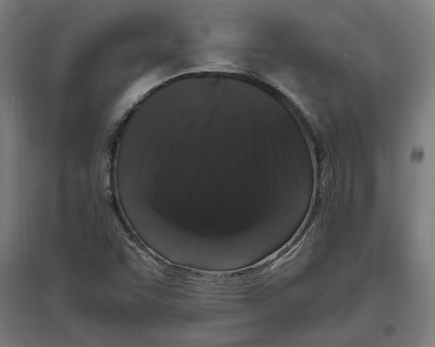 X0000096731455200803041212