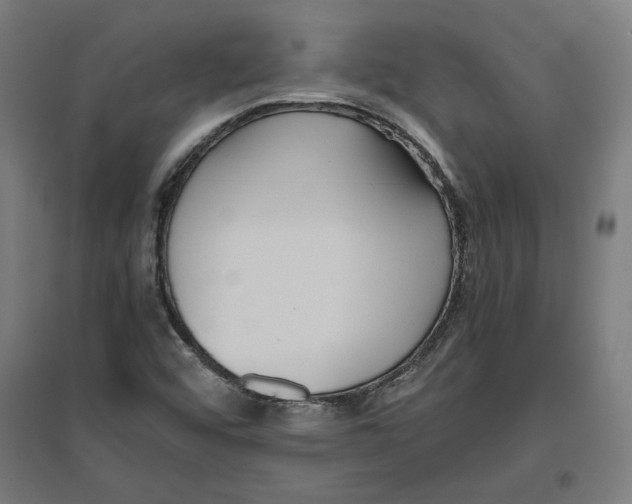 X0000096731456200803041212