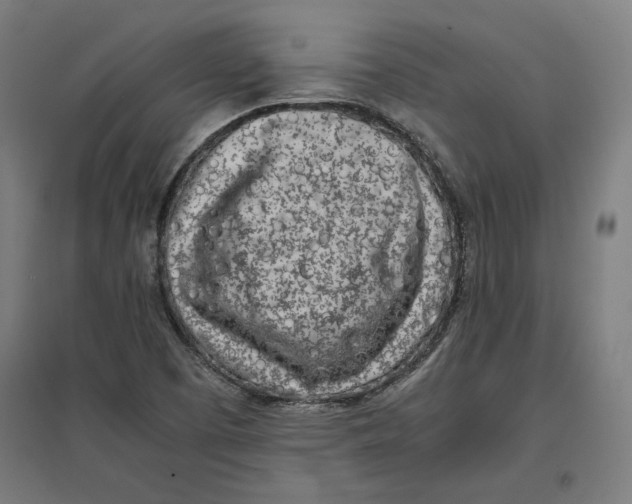 X0000096731457200803041212