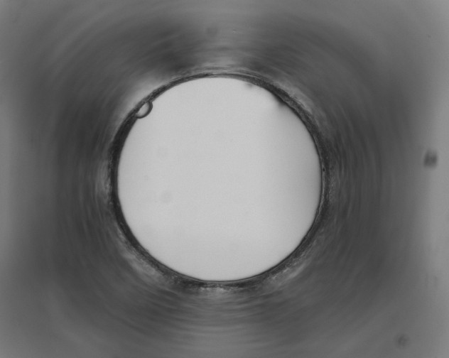 X0000096731458200803041212