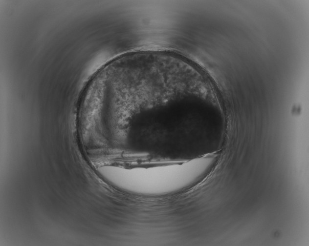 X0000096731459200803041212