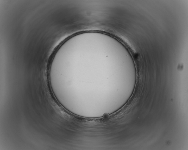 X0000096731460200803041212
