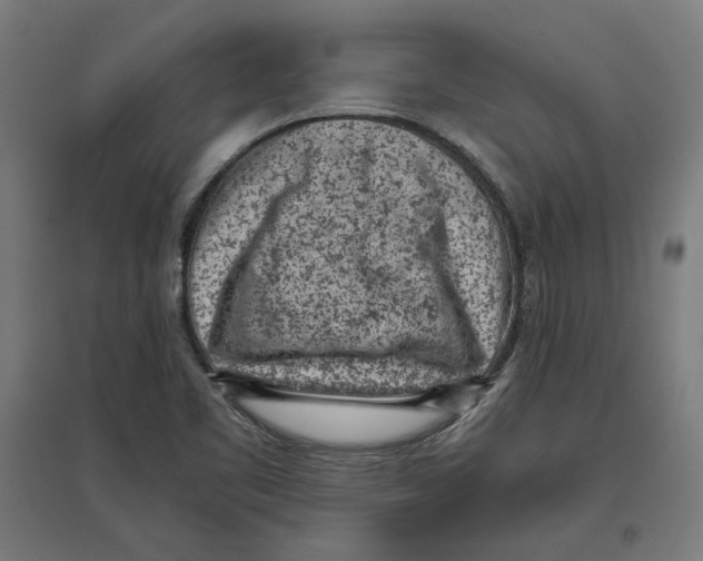 X0000096731461200803041212