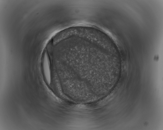X0000096731463200803041212