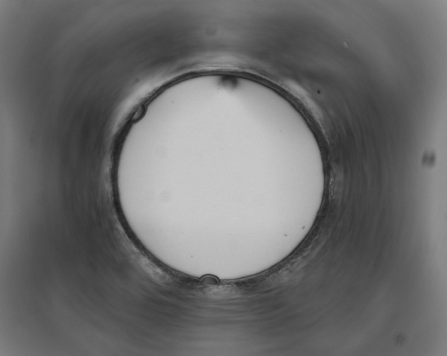 X0000096731464200803041212