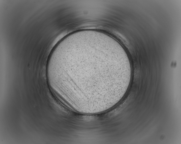 X0000096731465200803041212