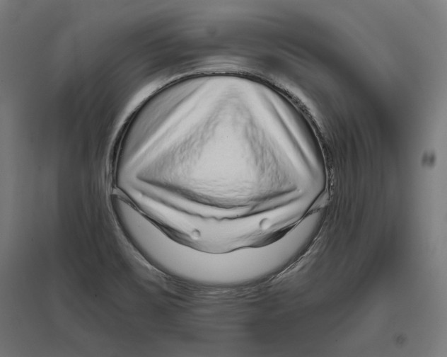 X0000096731467200803041212