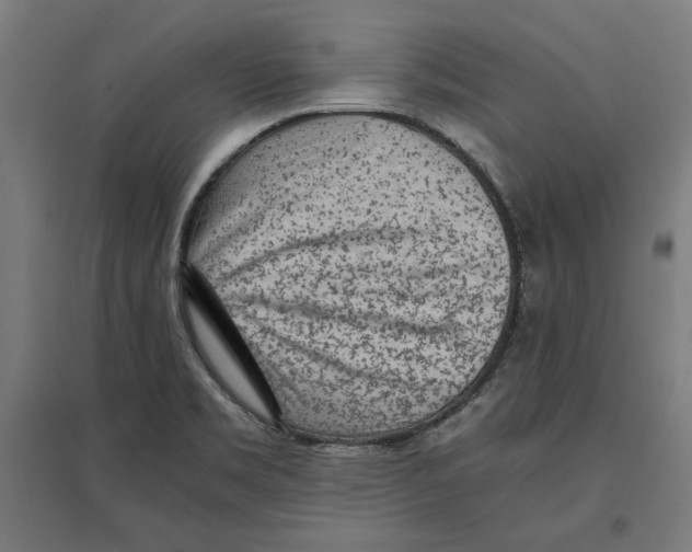 X0000096731469200803041212