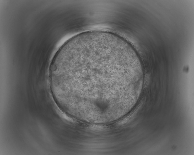 X0000096731470200803041212