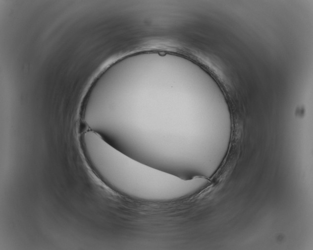 X0000096731471200803041212