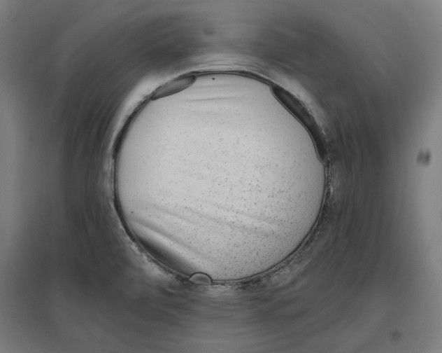 X0000096731472200803041212